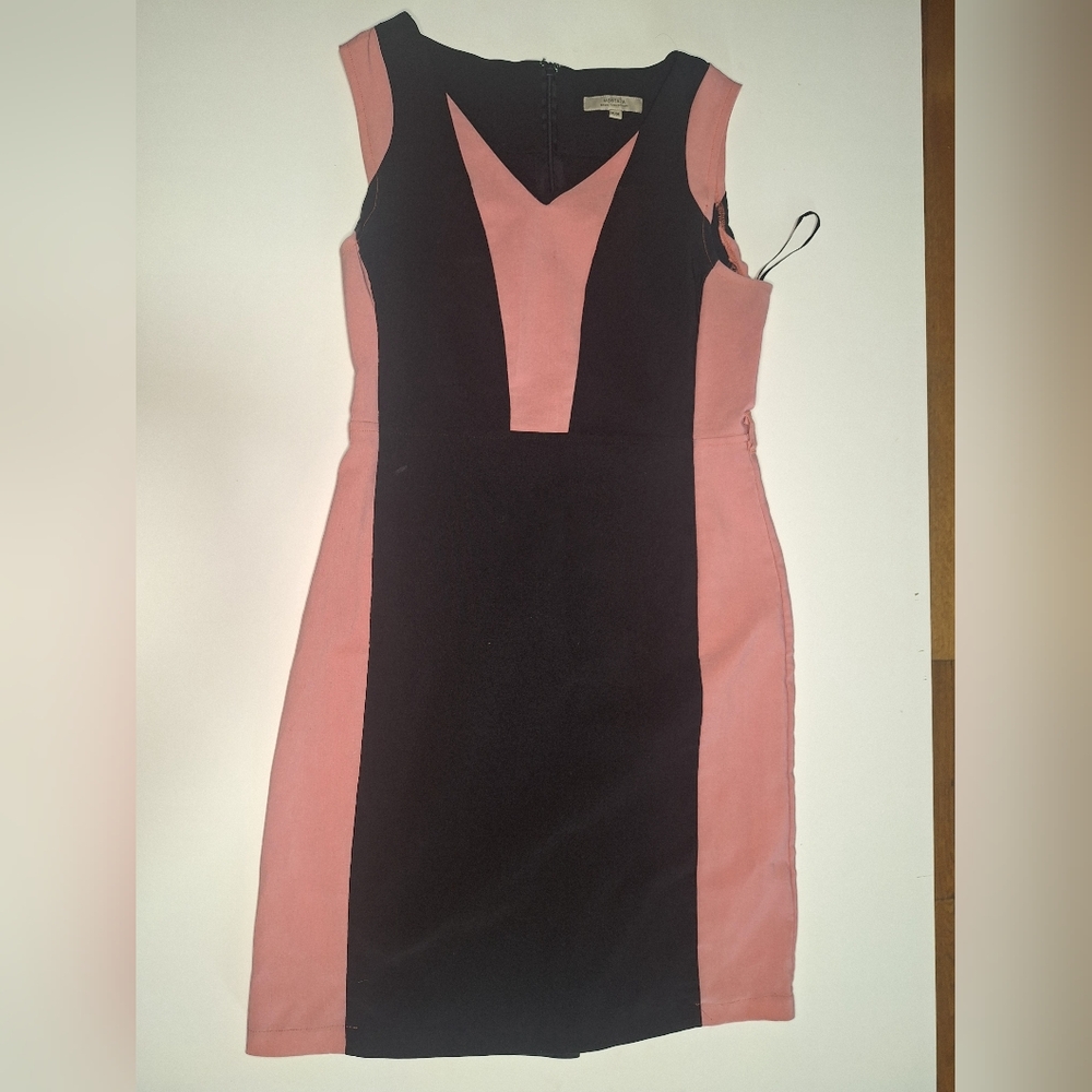 Chic Sleeveless Pink and Black Mini Dress